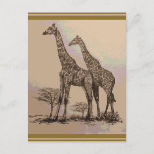 Sällsynt Retro African Giraffes in Sepia & Pastels Vykort