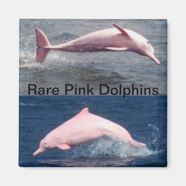 sällsynt rosa delphins magnet (Framsidan)
