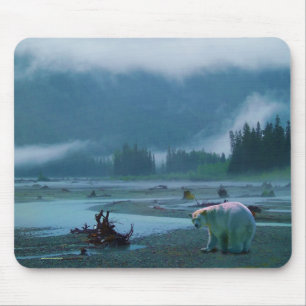 Sällsynt Spirit Bear och Misty BC River Musmatta