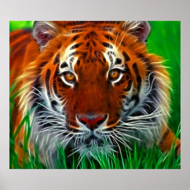 Sällsynt Sumatran Tiger från Indonesien Poster (Framsidan)