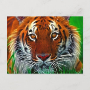 Sällsynt Sumatran Tiger från Indonesien Vykort