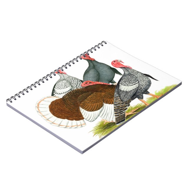 Sällsynt Turkiet-kvartetten Anteckningsbok Med Spiral (Vänstra Sidan)