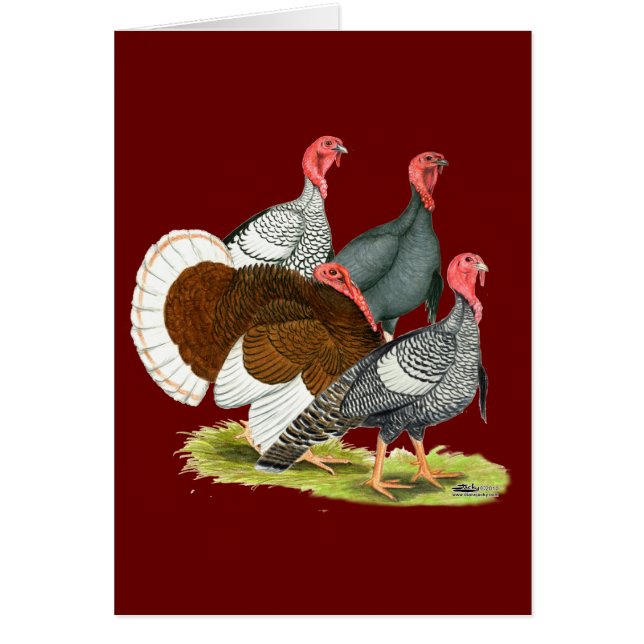 Sällsynt Turkiet-kvartetten OBS Kort (Framsidan)