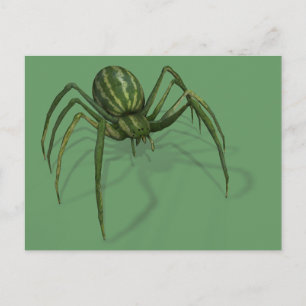 Sällsynt Watermelon Spider Vykort