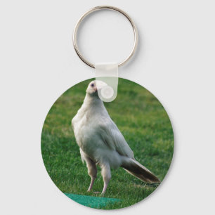 Sällsynt White Raven Gifts Nyckelring