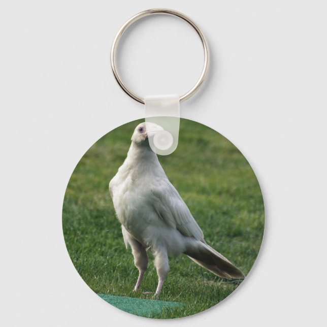 Sällsynt White Raven Gifts Nyckelring (Framsida)