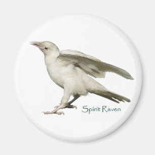 Sällsynt White Raven Photo Spirit Raven II-serien Magnet
