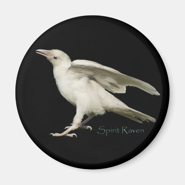 Sällsynt White Raven Photo Spirit Raven II-serien Magnet (Framsidan)