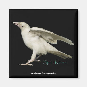 Sällsynt White Raven Photo Spirit Raven II-serien Magnet