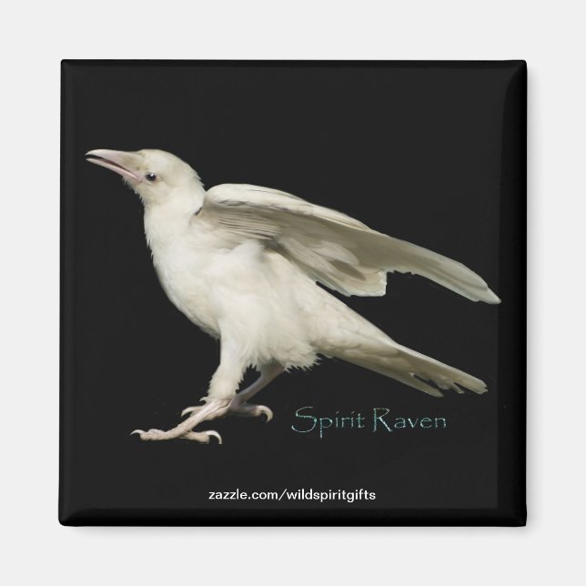 Sällsynt White Raven Photo Spirit Raven II-serien Magnet (Framsidan)
