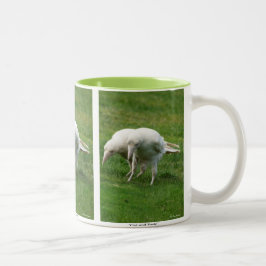Sällsynt White Raven Wildlife Photo Två-Tonad Mugg
