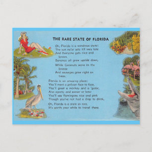 Sällsyntet Florida Vykort