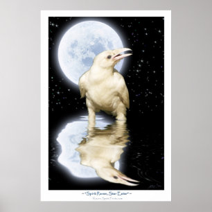 Sällsyntet WHITE RAVEN Fantasy Art Poster