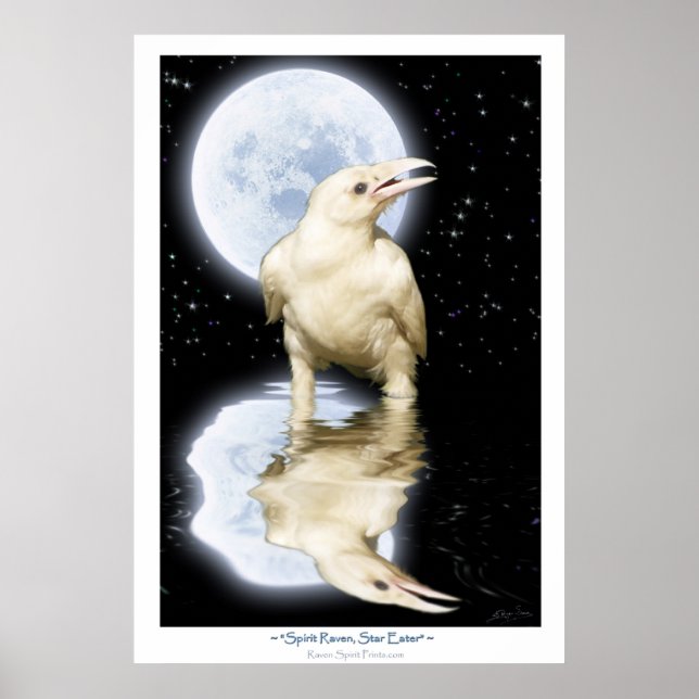 Sällsyntet WHITE RAVEN Fantasy Art Poster (Framsidan)