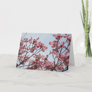 Sällsyntt rosa Dogwoodkort Kort