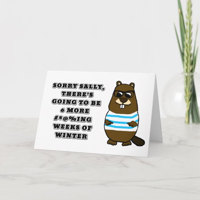 Sally, 6 fler #*@%ing veckor på vintern kort (Framsida)