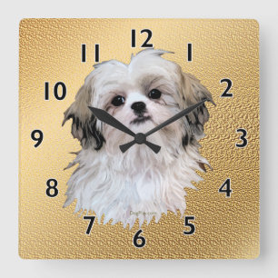 Sally Shih Tzu Fyrkantig Klocka