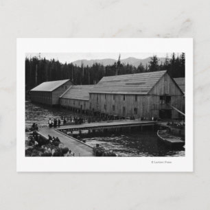 Salmon Cannery nära Ketchikan, Alaska Vykort