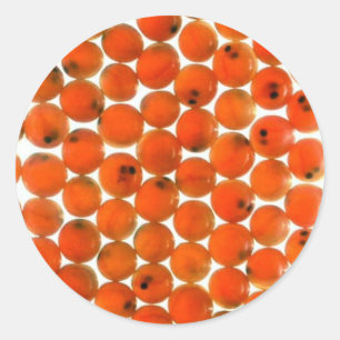 Salmon Egg Runt Klistermärke