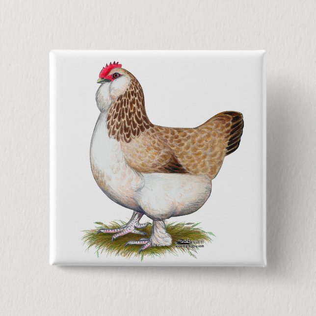 Salmon Faverolle Hen Knapp (Framsida)