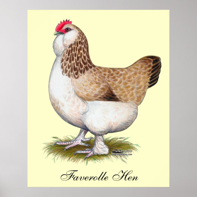 Salmon Faverolle Hen Poster (Framsidan)
