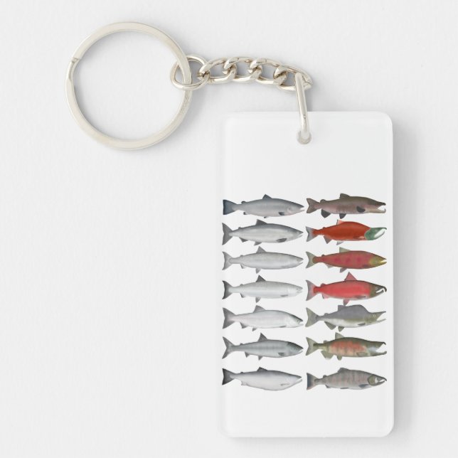 Salmon Group (Framsidan)