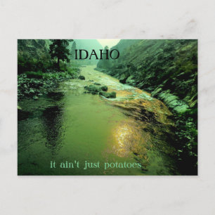 Salmon River i Idaho Vykort