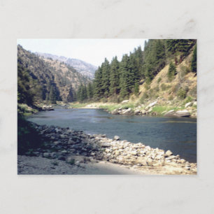 Salmon River Summer Vykort