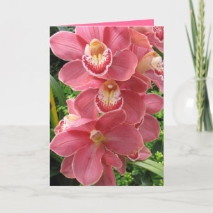 Salmon rosa orchid kort