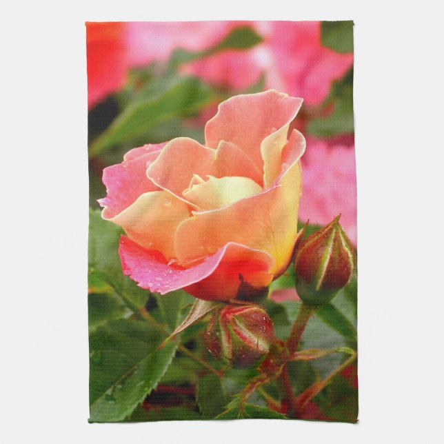 Salmon Rosa ros Kökshandduk (Vertikal)