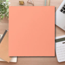 Salmon Rosa Solid Färg | TRENDIG FÄRG Anteckningsblock