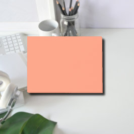 Salmon Rosa Solid Färg | TRENDIG FÄRG Post-it Block