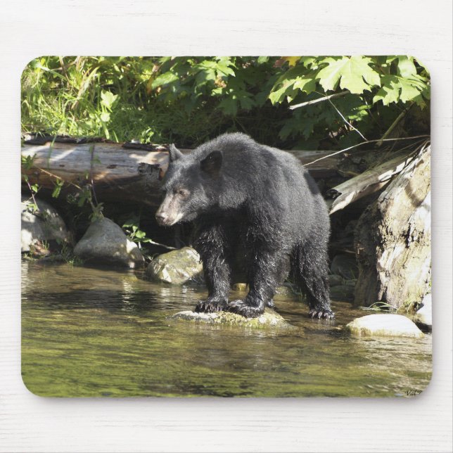 "Salmon Spotting" Mouse Pad Musmatta (Framsidan)