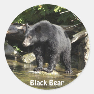 "Salmon Spotting" Svart Bear Sticker-gåvor Runt Klistermärke