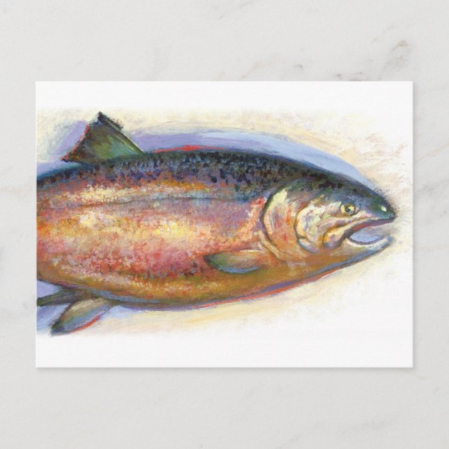 Salmon-vykort Vykort (Framsida)