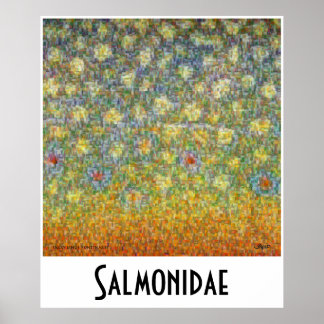 Salmonidae Skinss Montage Postage Poster