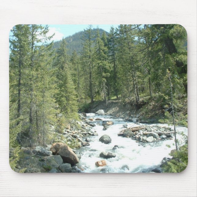 SalmonLaSac Musmatta (Framsidan)