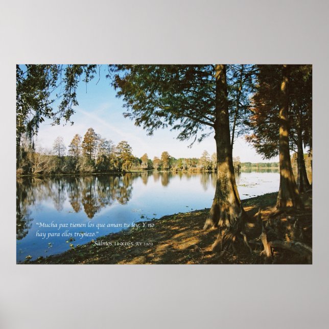 Salmos 119:165 poster (Framsidan)