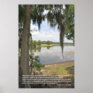 Salmos 1:1 - 3 (kartellen lurar Rio y Arbol), Poster