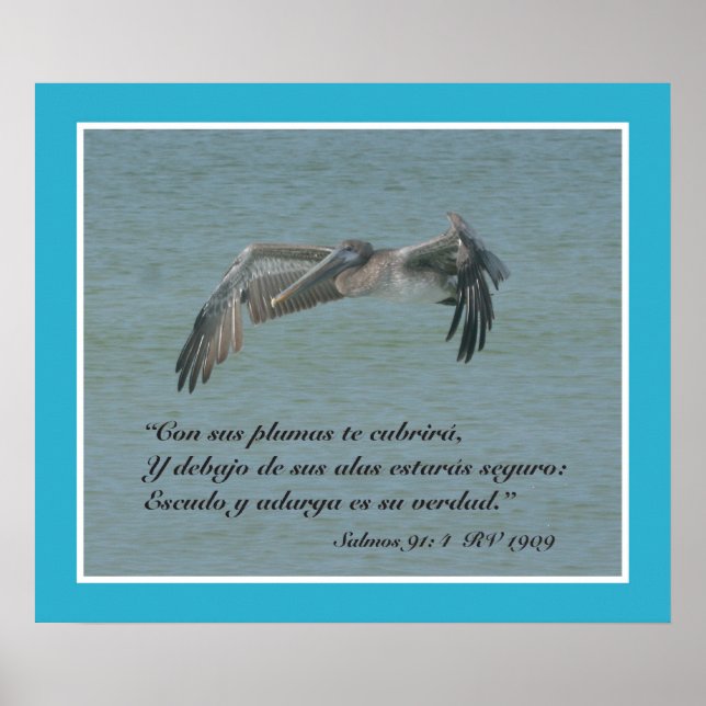Salmos 91:4 con Pelicano Volando (kartellen) Poster (Framsidan)
