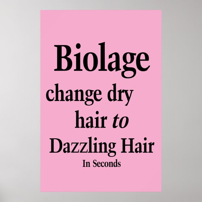 Salon Barbershop Poster Hair Dry to Dazz Biolage  (Framsidan)