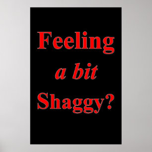 Salon Barbershop Poster Känsla för lite Shaggy