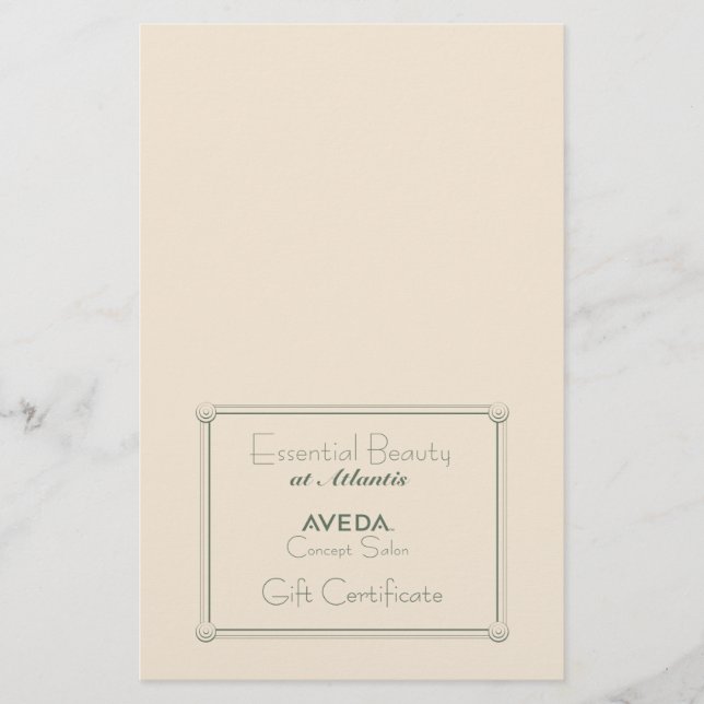 Salon Gift Certificate (DIY Folding) Flygblad (Framsidan)