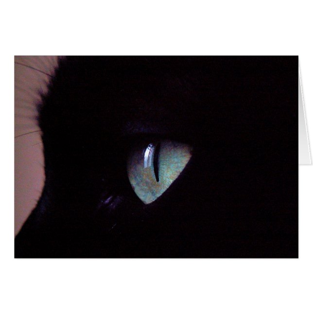 SalsatoppenZen Hälsningskort (Framsidan Horizontal)