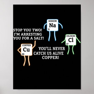 Salt and Copper Periodic Bord Police Pun Poster