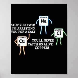 Salt and Copper Periodic Bord Police Pun Poster