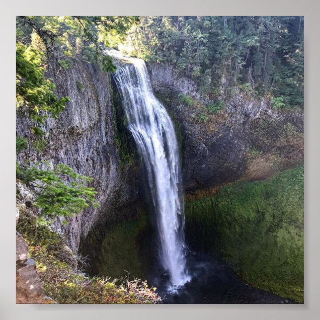 Salt Bäck Falls, ELLER Poster (Framsidan)