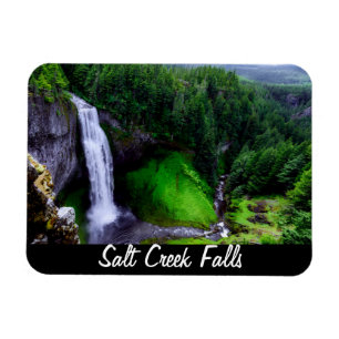 Salt Bäck Falls Oregon Magnet