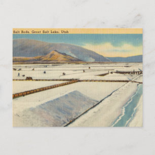 Salt Beds, Underbar Salt Sjö, Utah Vykort
