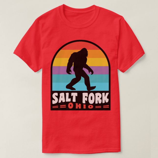 Salt Fork State Park Ohio T Shirt (Design framsida)